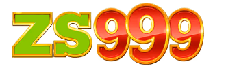 ZS999 app icon